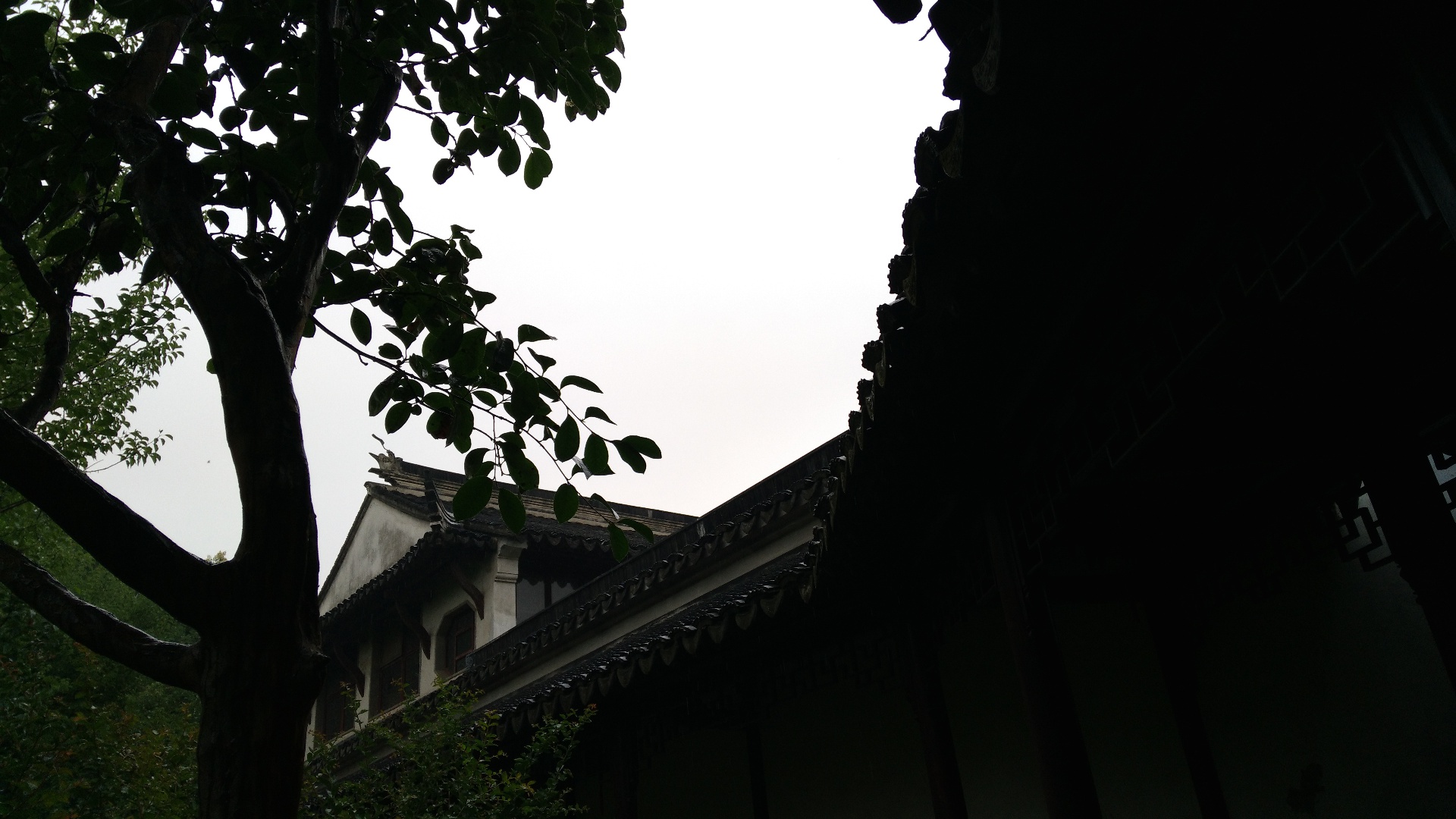IMG_20150615_153542