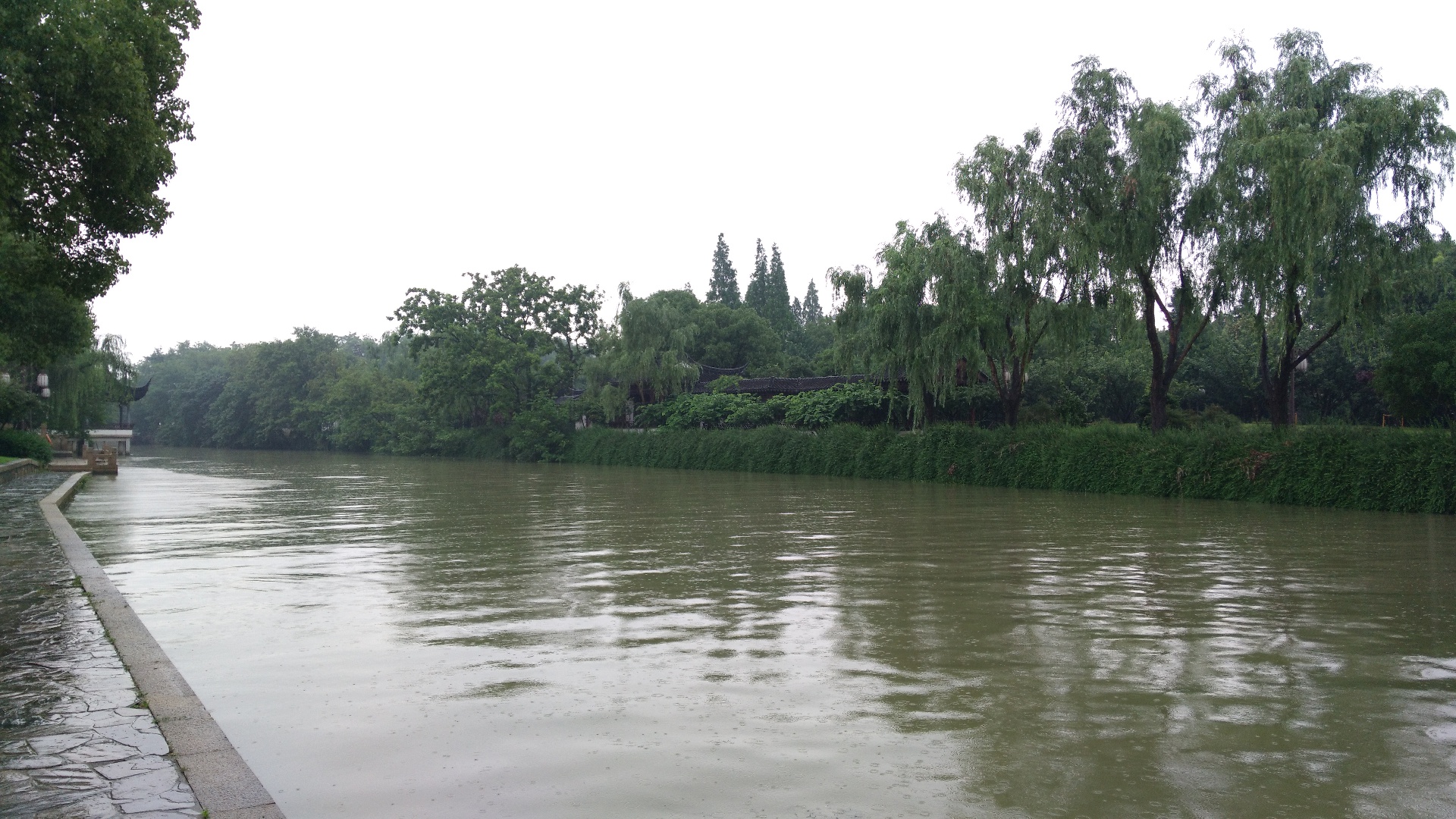 IMG_20150616_115659