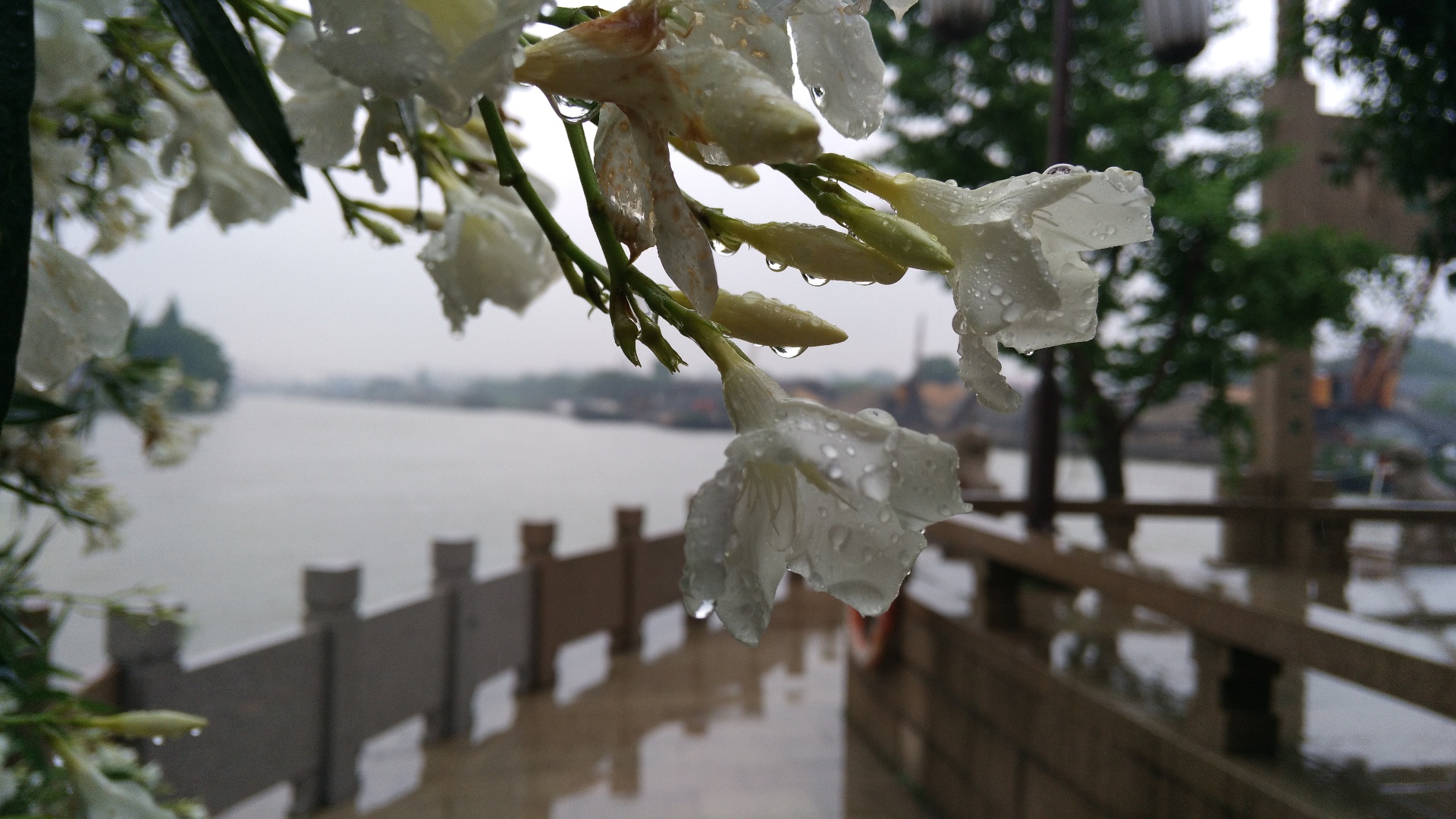 IMG_20150616_130400 - 副本